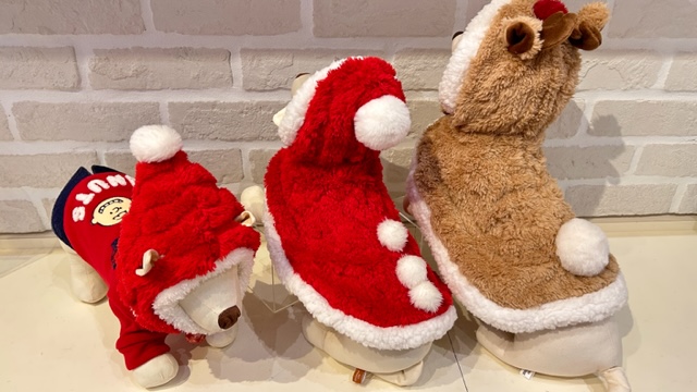 【PET】サンタポンチョ入荷♪