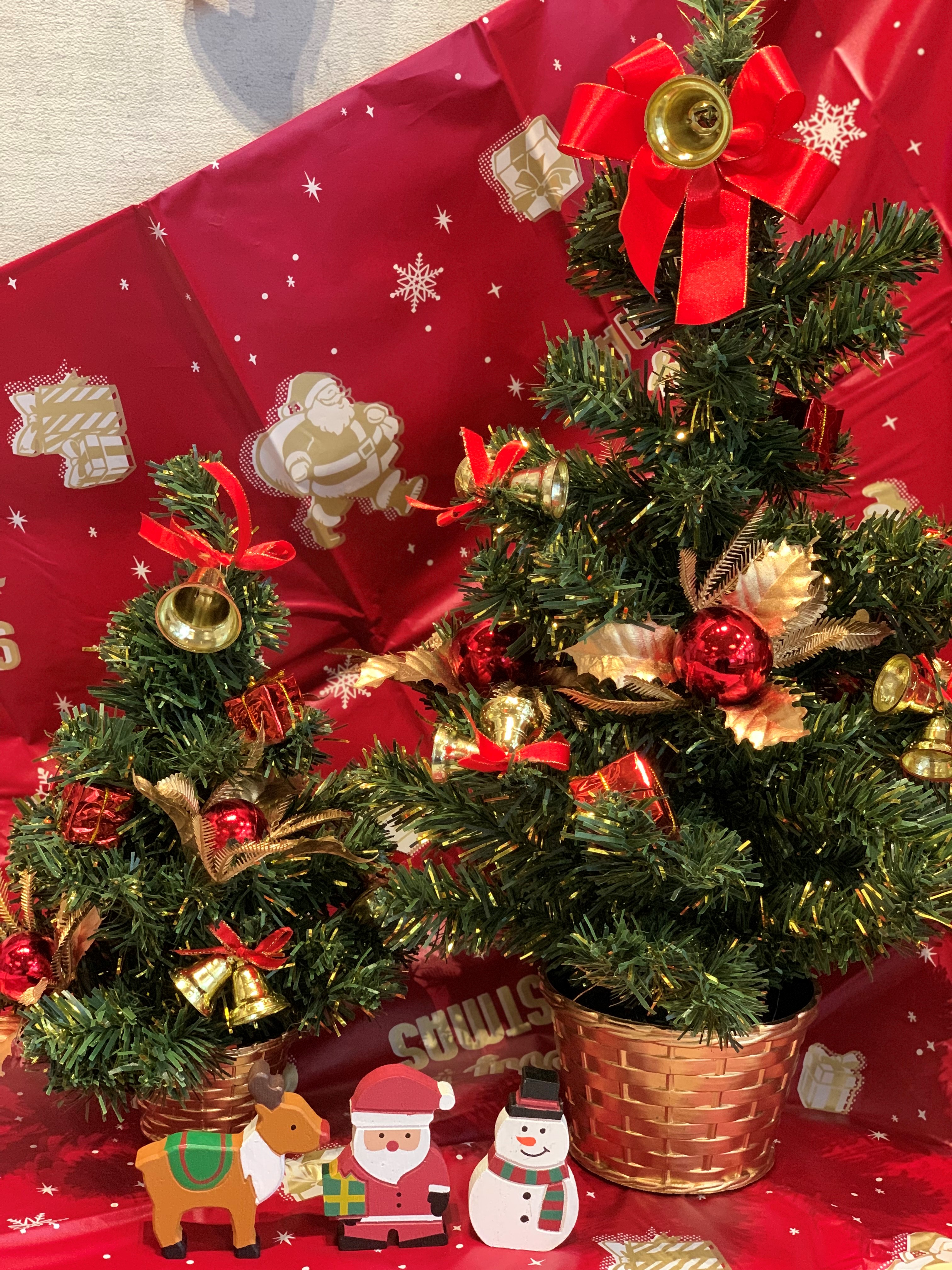 大人気クリスマスツリー