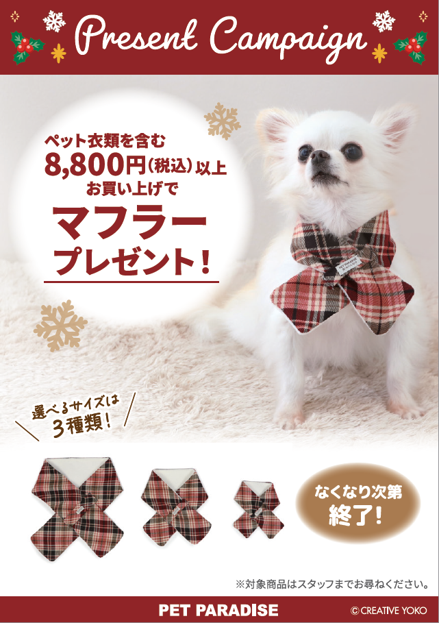 【PET】マフラープレゼント