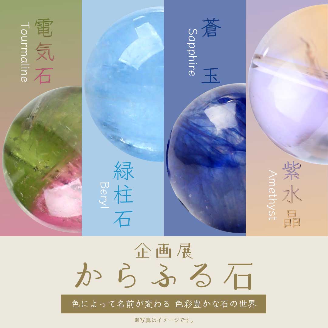 企画展【からふる石】開催！