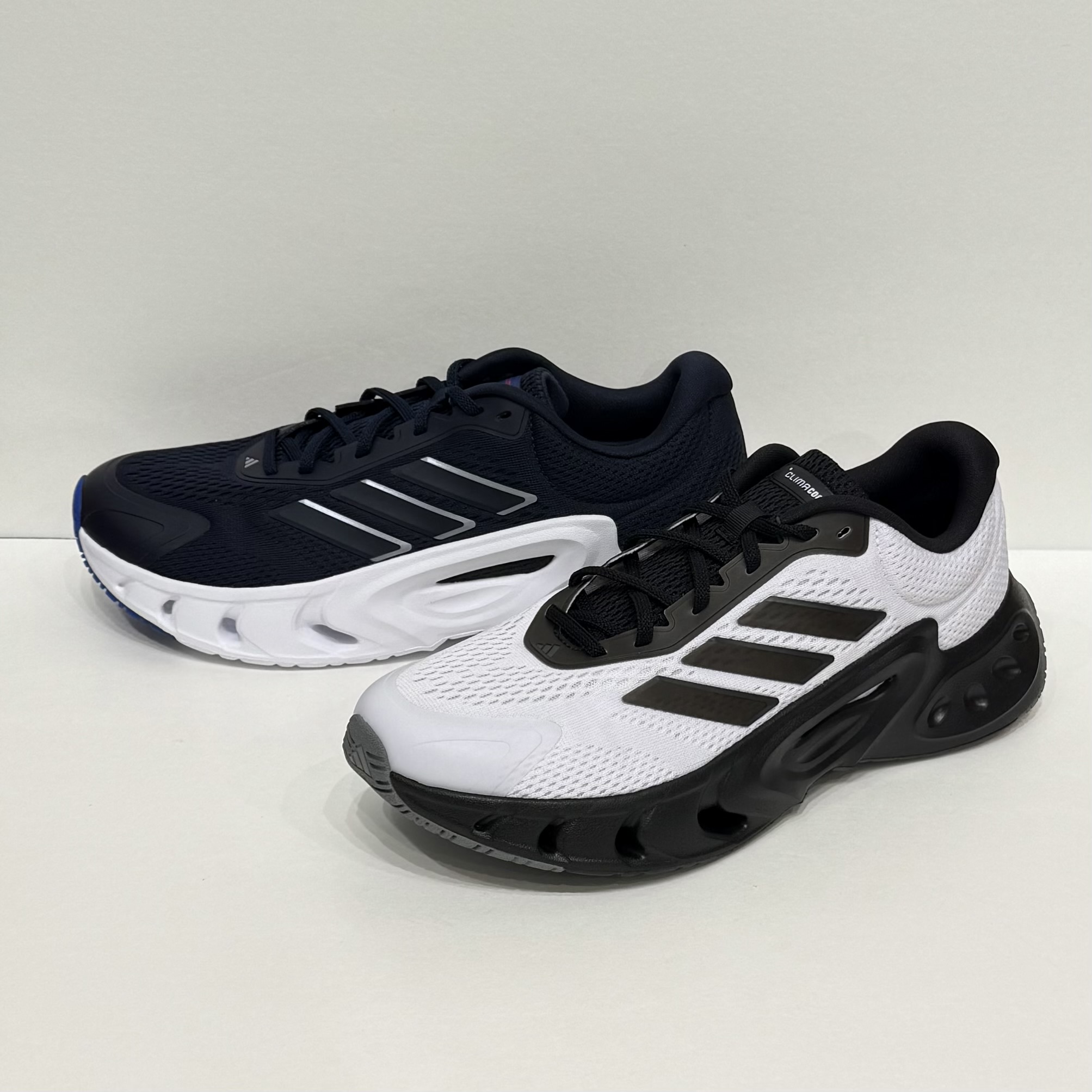 New Arrival !!!