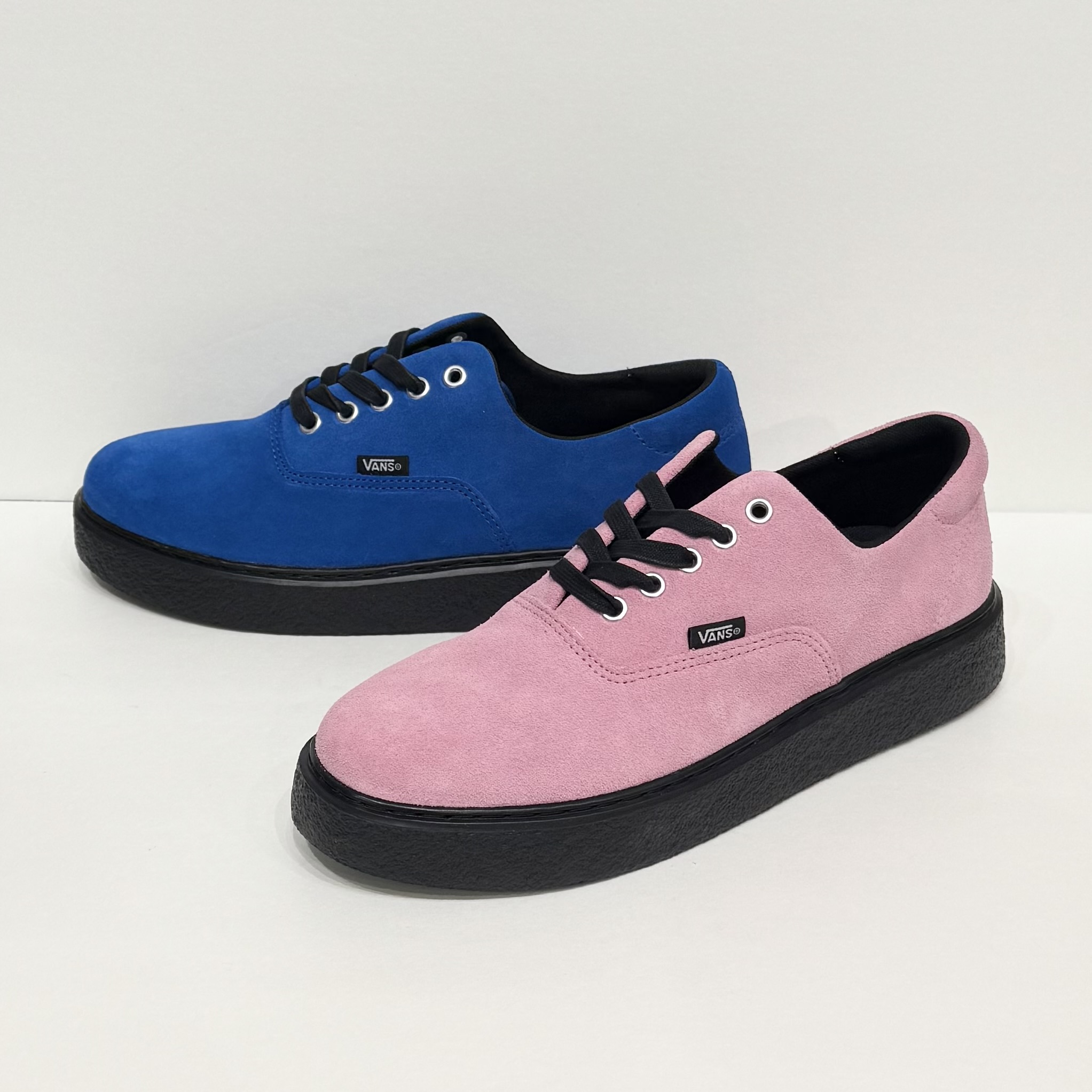New Arrival !!!