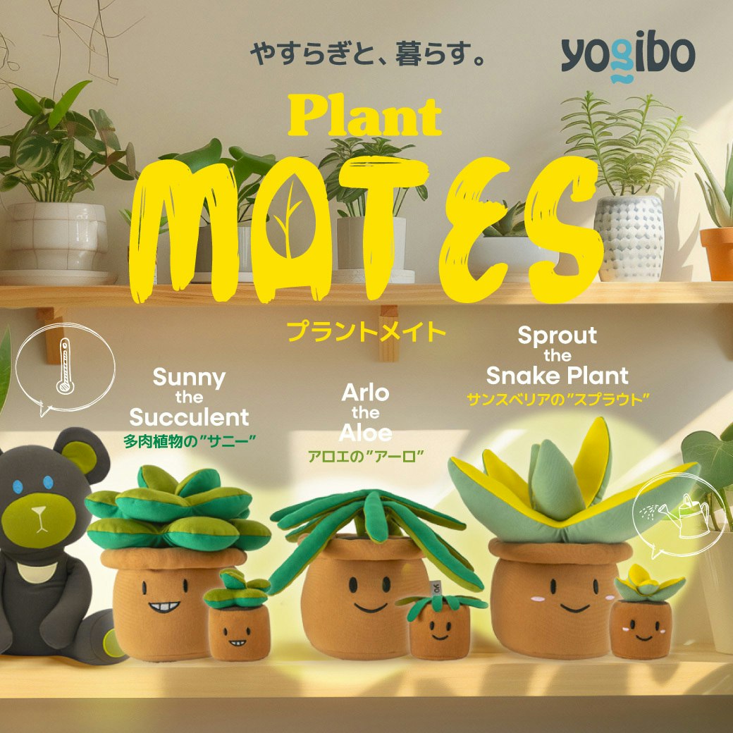 新商品　Plantシリーズ