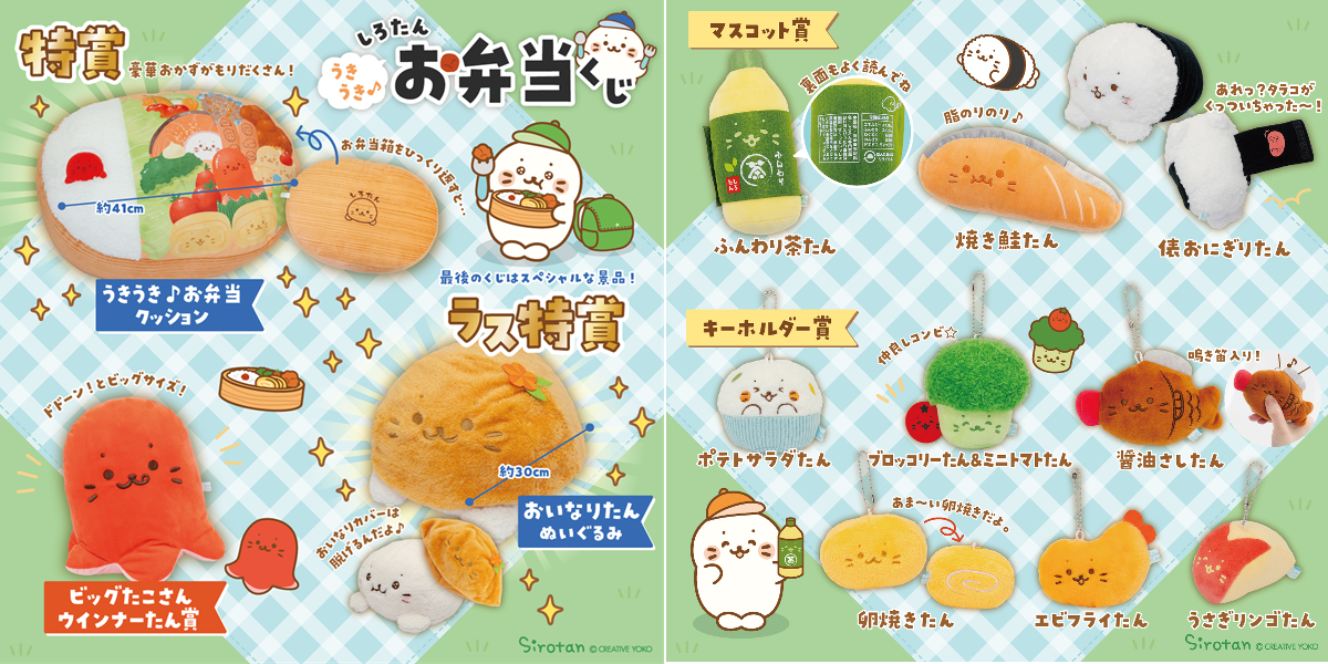 【しろたん】うきうきお弁当くじ