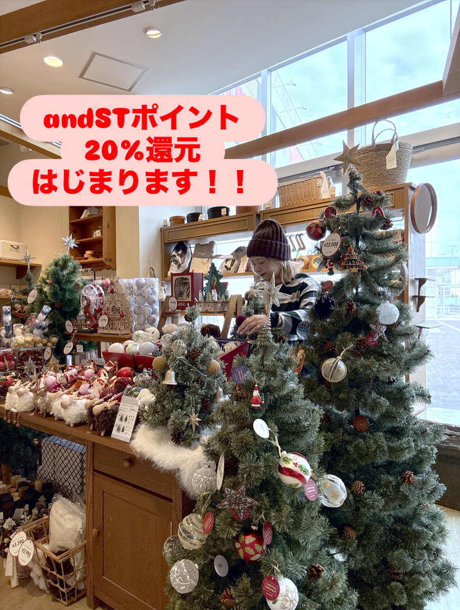 andSTポイント20%還元始まります！