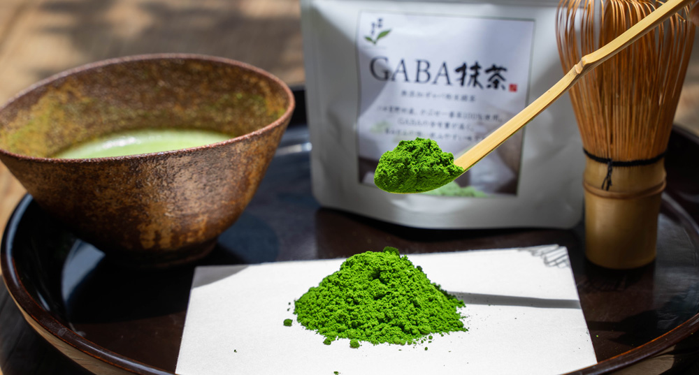 当店大人気GABA抹茶のご紹介