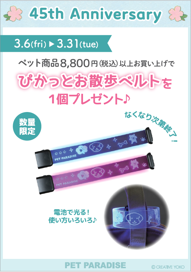 【PET】お散歩ベルトプレゼント