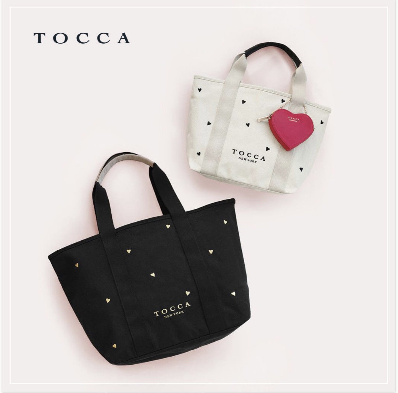 TOCCA POPUP開催！