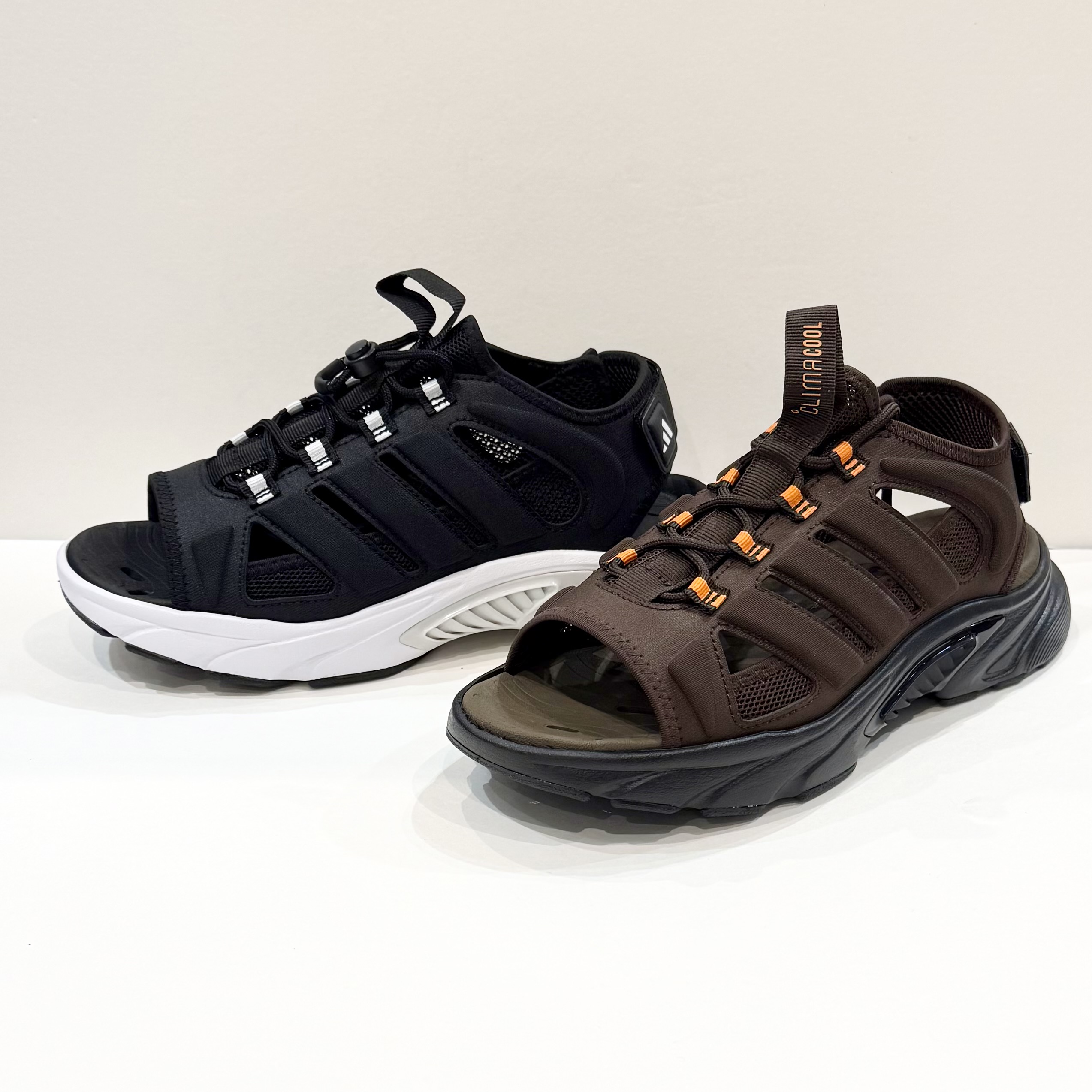 New Arrival !!