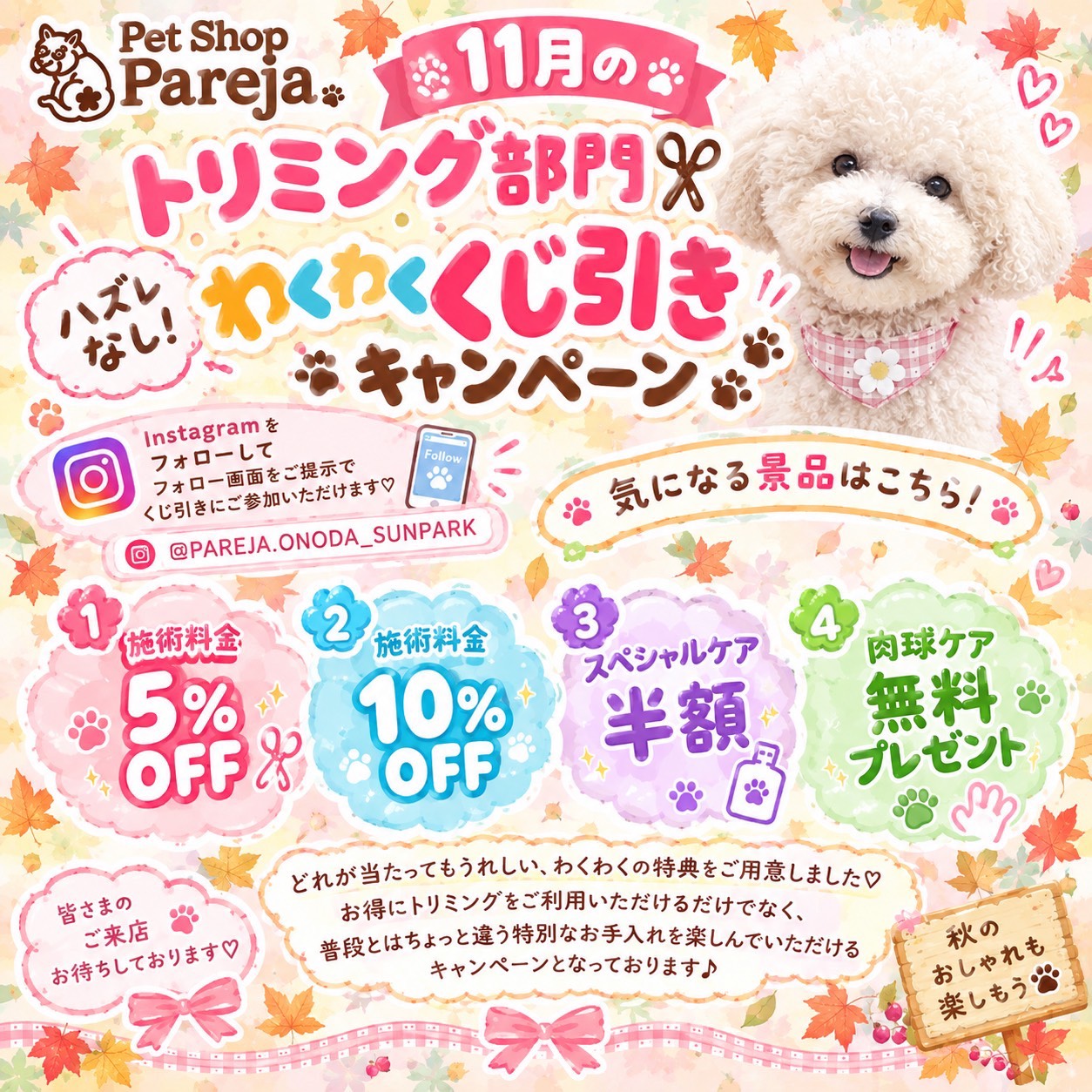 11月パレハ　トリミングイベント